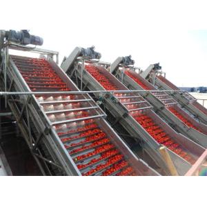 Customized Capacity Tomato Processing Line with Aseptic Filling and Automated