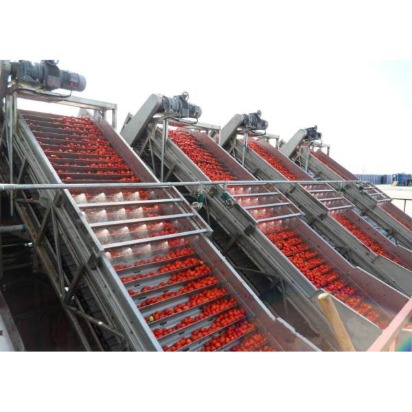 Customized Capacity Tomato Processing Line with Aseptic Filling and Automated