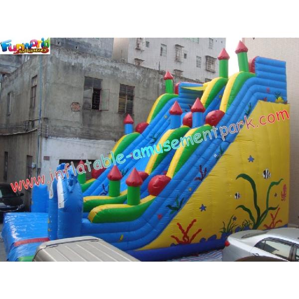 Inflatabl Giant Slide With Durable PVC Tarpaulin Commercial Inflatable Slide 10L x 6W x 8H