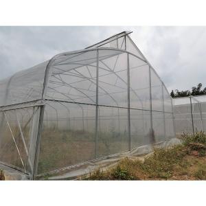 Customized Galvanized Steel Frame Greenhouse For Flowers And Berries