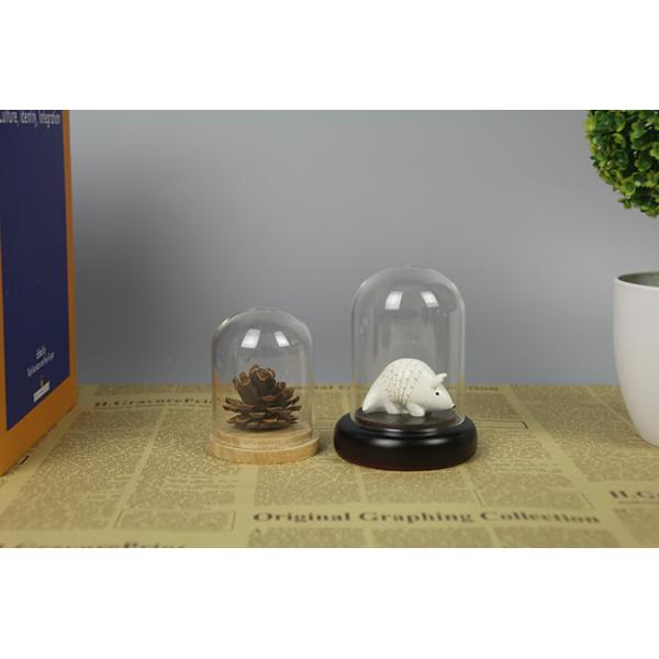 Customized Glass Homeware Dome Display Handblown Vintage Victorian Style