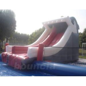 Durable Inflatable Water Park Slides With Big Pool For Beach Or Hotel