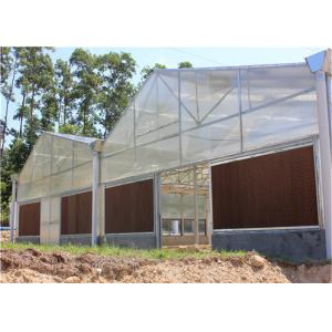 High Density Greenhouse Solar System Economical Planting Hot Dip Galvanized