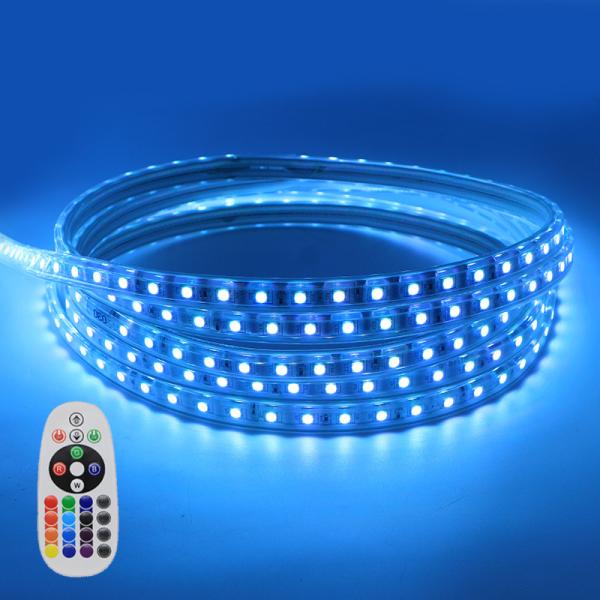 Buy 110 V RGB LED Light Strip SMD 5050 Dimmable and Flexible Smart Rope Light with Remote Control at wholesale prices