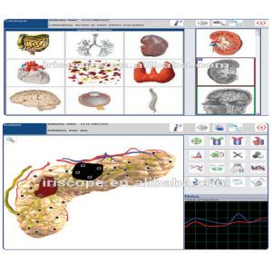 Black Virtual Scanning High Accuracy Metatron Nls 4025 Hunter Body Analyzer
