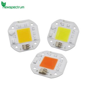 High Lumen Output 50W LED Chip