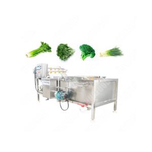 Commercial Washing Machine Fruit Small Capacity