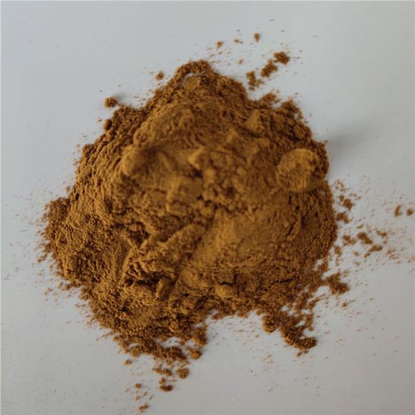 wholesale Reed Rhizome Extract/reed with best price