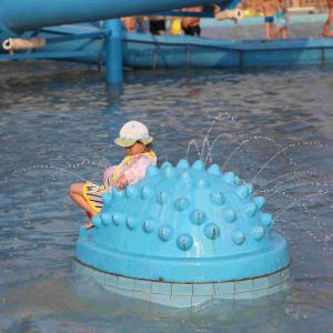 Spray Aqua Park Equipment Hedgehog Shaped Water Playground With Raining