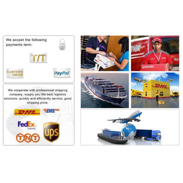 Purse Metal Swivel Snap Hook , High Polished Swivel Clips For Handbags