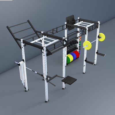 Sports Adjustable Crossfit Training Rig Wall Mounted Folding Power Rack