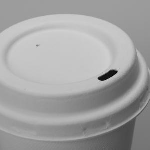 Bagasse Molded Pulp Leakproof 8oz 250ml Biodegradable Cups And Lids