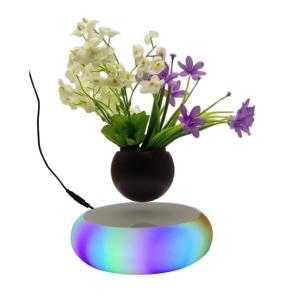 colorful led light magnetic levitation air bonsai plant pot tree succulent