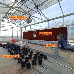 Galvanized Steel Tunnel Greenhouse 2.6-3.5m Height with 200 Micron Film