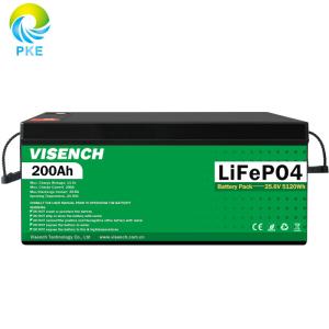 Visench Direct factory Lithium battery lithium 48v Deep 6000 Cycles with BMS for