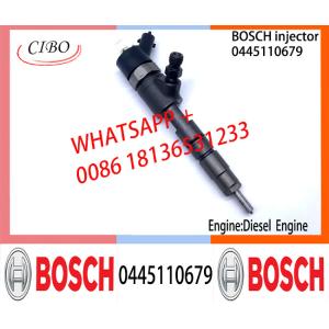 BOSCH 0445110463 0445110464 0445110577 0445110679 0445110576 Common Rail Fuel