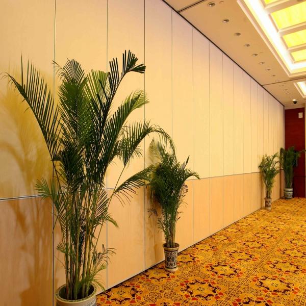 Hotel Space Separating Acoustic Resistant Folding Movable Partition Wall