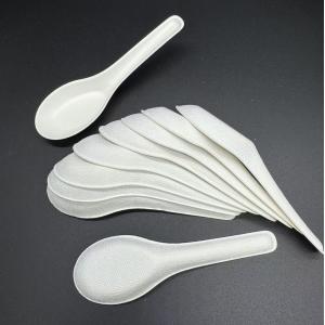 Molded Fiber Bagasse Pulp Spoon Eco-Friendly Disposable Utensil Canteen