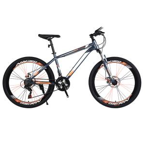Steel Frame and Fork Material City Bike Woman Bicycle 26inch Mountain Bike
