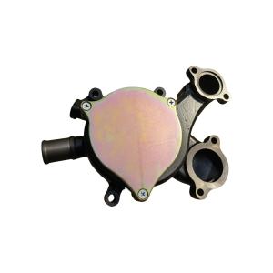 60011710 Sany Parts Water Pump Assembly 161003811F