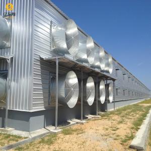 Steel Structure Poultry House Q235 Q345 S355 Galvanized Roof