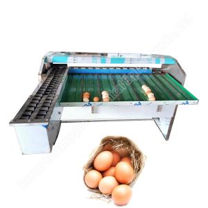 Quality Mechanical Egg Grader Duck Egg Size Sorting Machine Egg Weight Grading Machine 4000/5400pcs/h for sale