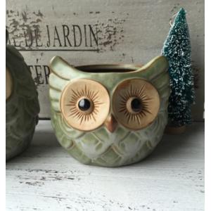 Succulent Creative Animals Owl Plant Flowerpots
