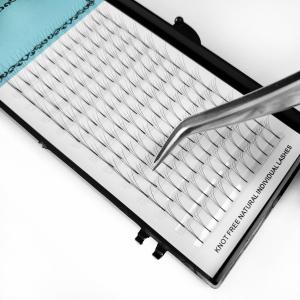 Private Label Premade Volume Fans Natural Black Color Various Design