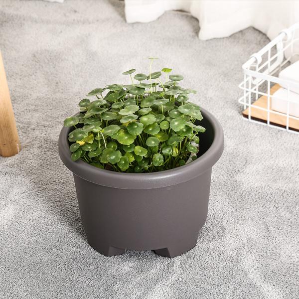 Thick Lip 6.1L 27.6cm 1.5 Gallon Tripod Nursery Resin Garden Planter