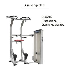Quality Assisted Dip Chin Strength Training Machine , Professional Matrix Bodybuilding Equipment for sale