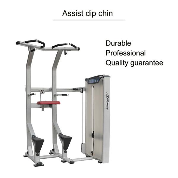 Assisted Dip Chin Strength Training Machine , Professional Matrix Bodybuilding