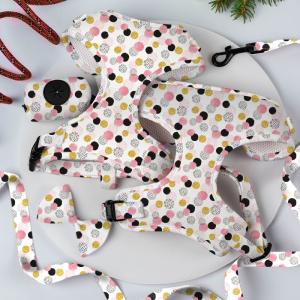 Neoprene Breathable Dog Walking Kit Flora Puppy Leashes Harnesses