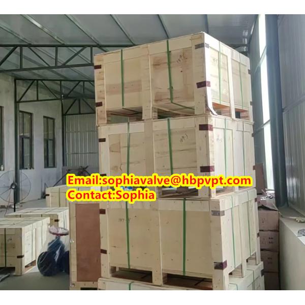 cast steel check valve WCB 300# flanged swing check valve