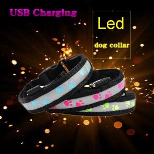 C903 Wholesale Most Welcomed Safety Waterproof Rechargeable Led Luminous Dog