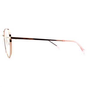 FM2595 Customized Optical Metal Frame Fashionable Lightweight Eyewear