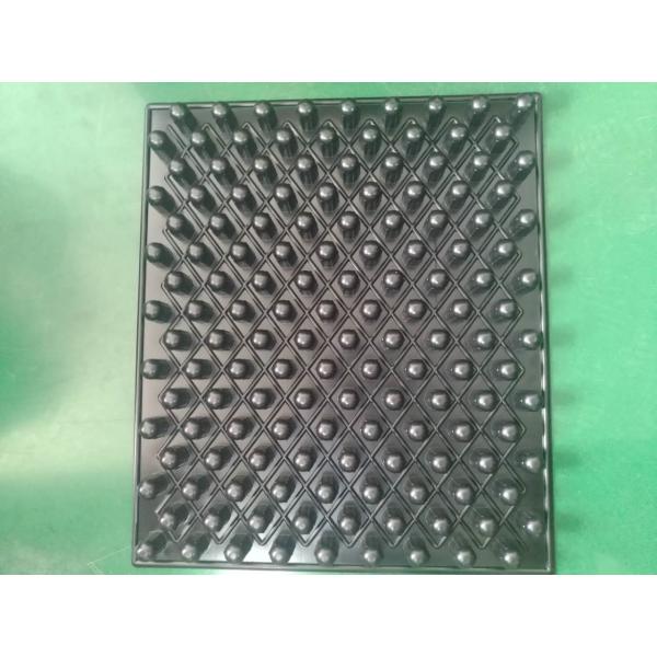 16*9 blister black trays for seeding PS