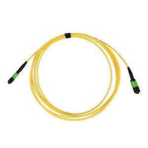 MPO Fiber Patch Cord