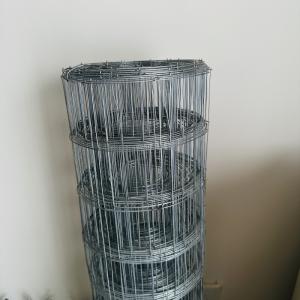 Hot Dipped Galvanized Welded Wire Mesh BWG14-BWG24 for Animal Cage