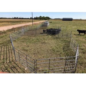 1.66" Od 16 Gauge Tubing 10ft Livestock Fence Panels With 14 Gauge Vertical