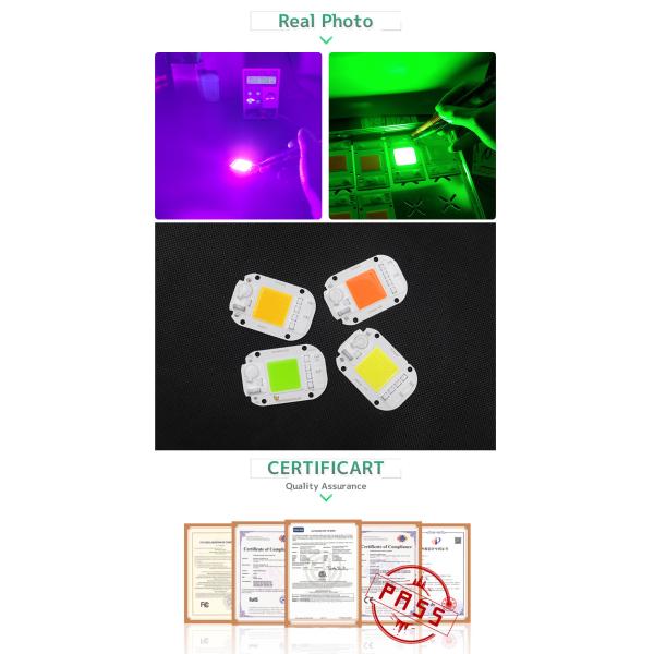AC COB Flip 50W LED Chip Surge Protect For Landscape Lighting