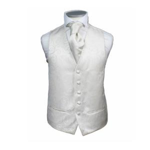Fashion Formal Paisley Silver Best Waistcoat Men