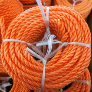 Cheap 3 or 4 Strands Twisted pp Rope 100m 200m Customized Length Polypropylene