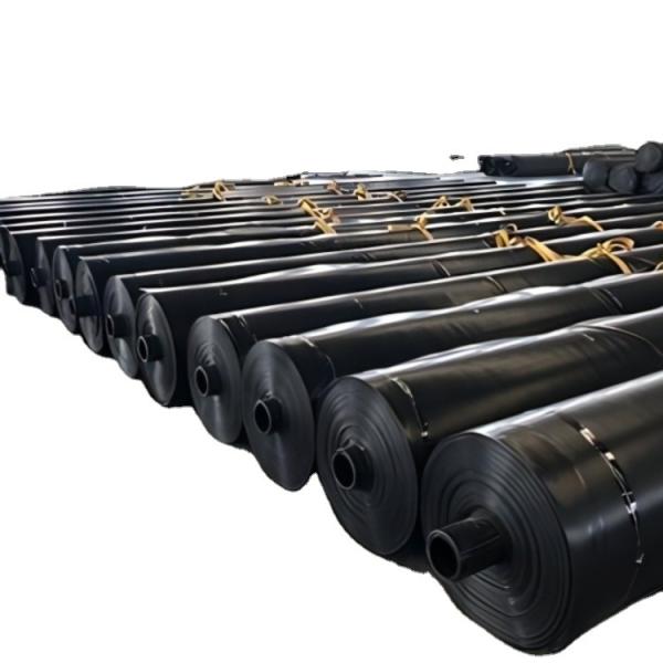 50m-100m/roll Length Anti-Aging Geomembrane for Fish Ponds Online Technical