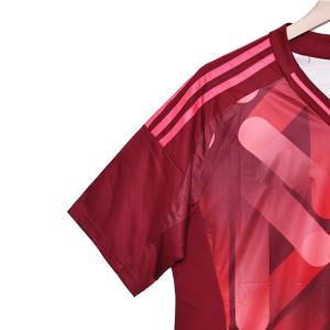 2025-2026 Germany Fan Edition Away Jersey Group Customization