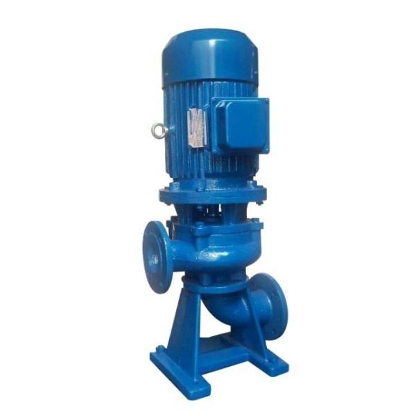 Buy 1500M3/H LW Vertical Non Clog Pump 2 Inch Wastewater Submersible Pump at wholesale prices