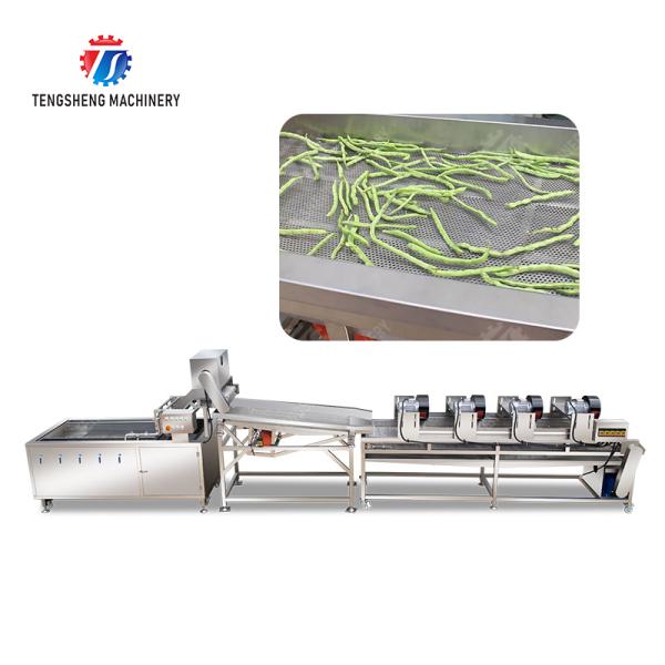 Buy 4.5KW Fruit And Vegetable Processing Line Vibration Draining Equipment at wholesale prices