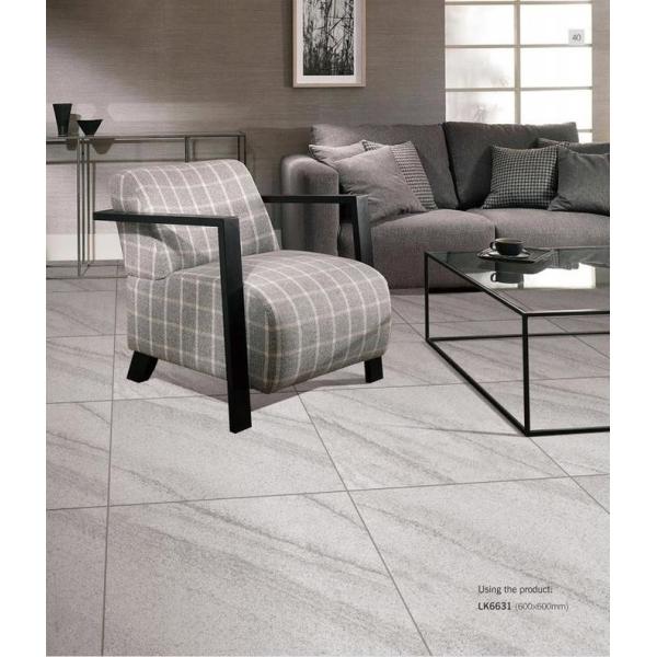 600x600mm Antibacterial Full Body Porcelain Tiles AAA Grade