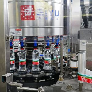 Customized Hot Melt Glue Labeler with Self-Labeling and Self-Testing Features