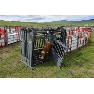 Double Squeeze Cattle Chute