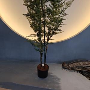 Artificial Green Plastic Palm Trees for Indoor/Outdoor Use